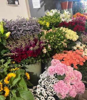 Choix des fleurs coupées 