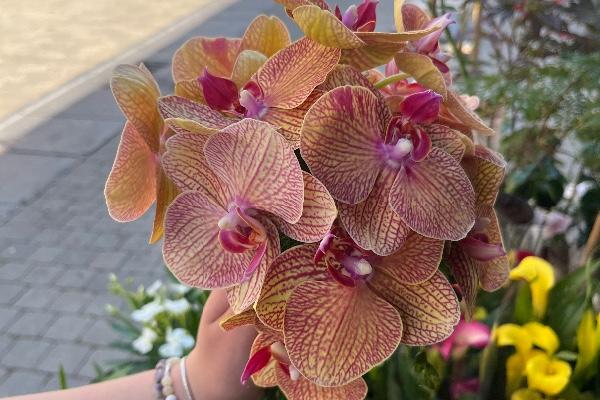 Bouquet de mariée 