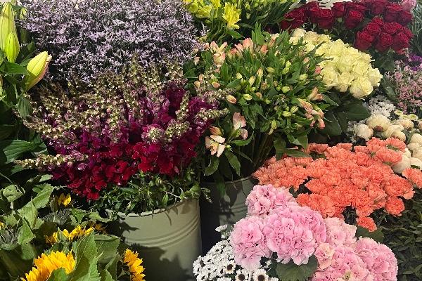 Choix des fleurs coupées 