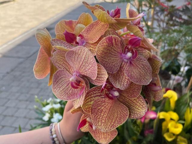 Bouquet de mariée 