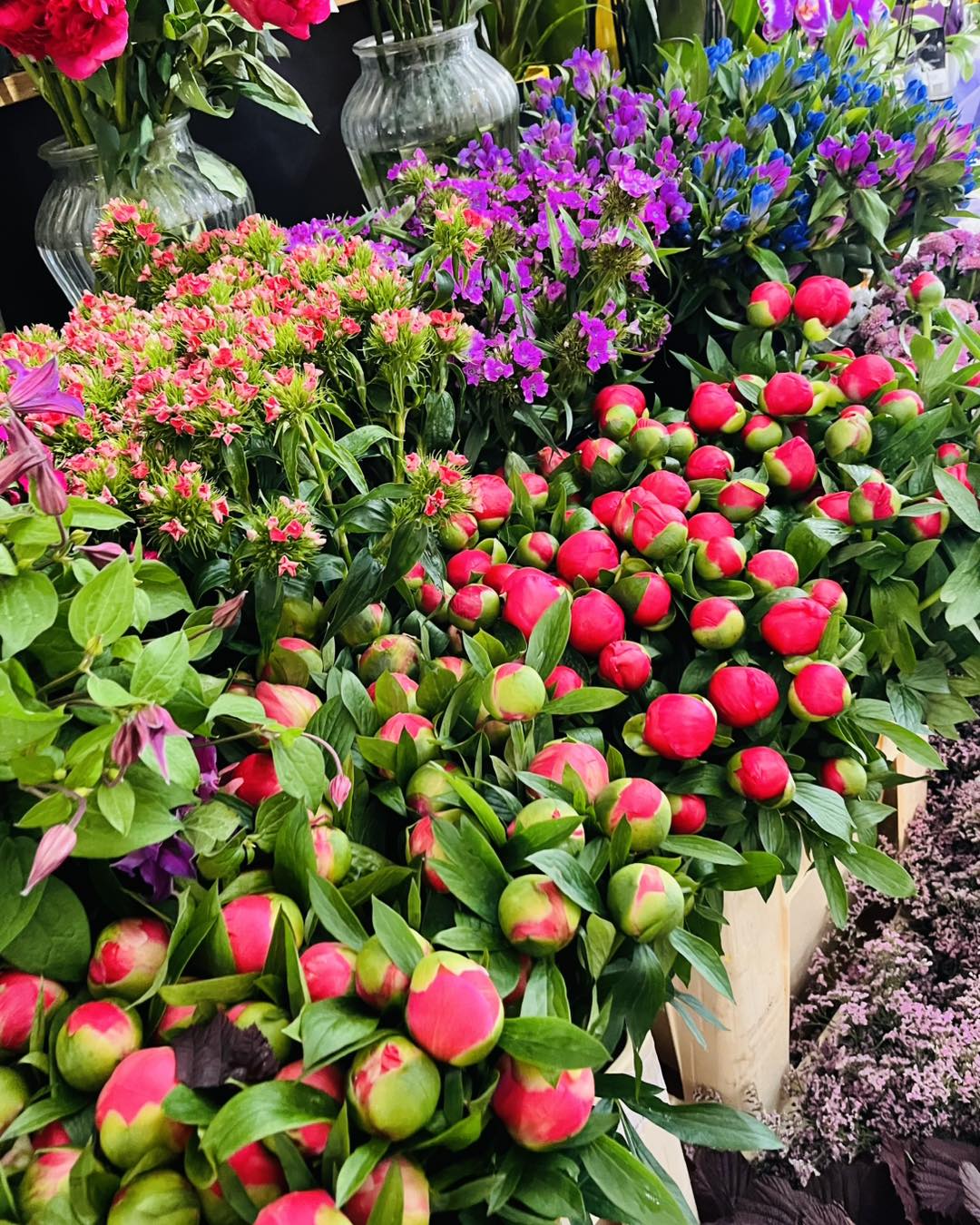 Fleurs colorées